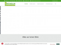 braendlin-systems.net Webseite Vorschau