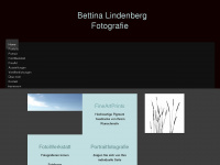 bettinalindenberg.com Webseite Vorschau