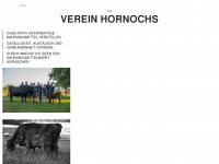 hornochs.com Webseite Vorschau