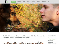 dog-four.de Webseite Vorschau