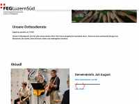 fegluzernsued.ch Webseite Vorschau