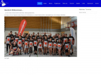 badminton-sömmerda.de Webseite Vorschau