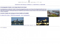morvay.ch Webseite Vorschau