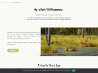 schweriner-naturheilblog.de Webseite Vorschau