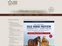 sanjuanranch.com Webseite Vorschau