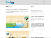 digitalsow.de Webseite Vorschau