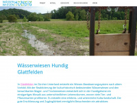 waesserwiesen-hundig.ch Thumbnail