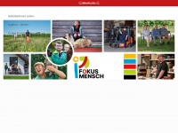 fokusmensch.info Webseite Vorschau