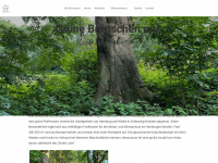 gruene-bruenschen.de Webseite Vorschau