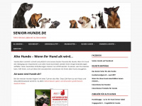 senior-hunde.de Webseite Vorschau