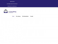 ds-consulting.net Webseite Vorschau