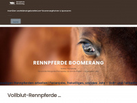 renn-pferde-boomerang.de