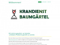 baumgaertel-krandienst.de Webseite Vorschau