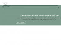 farminsect.eu Webseite Vorschau