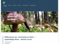 gruenheide-im-blick.de Webseite Vorschau
