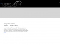 bergstein.com.br