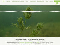 naturschutztauchen.org Webseite Vorschau