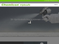 triplesafe.net Webseite Vorschau