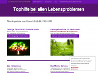 tophilfe.com Webseite Vorschau