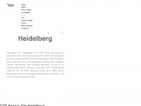 heidelberg-dzif.de Webseite Vorschau