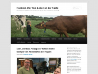 hooksiel-life.de Webseite Vorschau