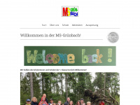 ms-gruenbach.at Webseite Vorschau