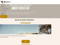 ames-foundation.com Webseite Vorschau