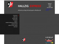 hallzigexpress.com Webseite Vorschau