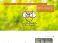 sarina-brand.ch Webseite Vorschau