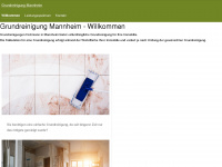 grundreinigung-mannheim.de Thumbnail