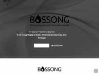 bossong-reinigungstechnik.de Webseite Vorschau