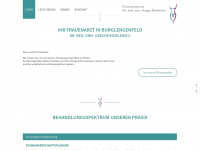 frauenarzt-burglengenfeld.de Webseite Vorschau