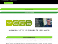 baumschule-hohe-heckenpflanzen.de Webseite Vorschau