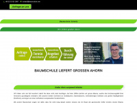 baumschule-grosser-ahorn.de Webseite Vorschau