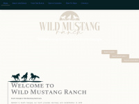 wildmustang-us.com