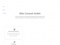 blitz-consult.de Webseite Vorschau