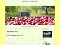 kbs-schuster.de Webseite Vorschau