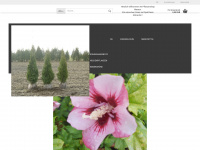 maraun-heckenpflanzen.de Webseite Vorschau