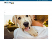dna-test-hund.de Webseite Vorschau