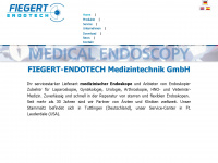 fiegert-endotech.com Webseite Vorschau