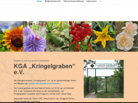 kga-kringelgraben.de Webseite Vorschau