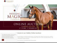 callaho.auction