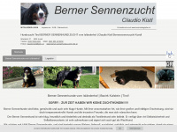 berner-sennenhunde-zucht-tirol.at Webseite Vorschau