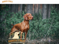 barkerstreet.ch Webseite Vorschau