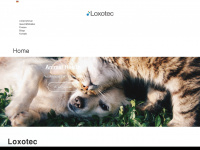 loxotec.com Webseite Vorschau