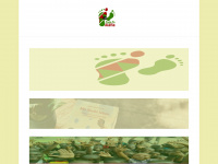 togotaalafia.org Webseite Vorschau