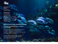 aquaristik-lounge.de Webseite Vorschau