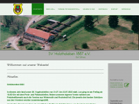 sv1887holzthaleben.de Webseite Vorschau