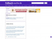 fellbach-suche.de Webseite Vorschau