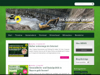 gruene-kirchheim.de Webseite Vorschau